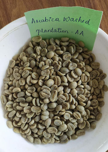 Arabica Washed Plantation AA