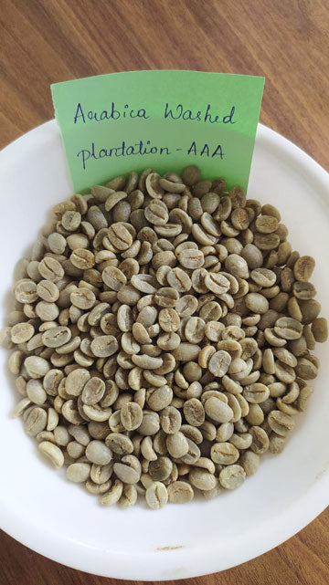 Arabica Washed Plantation AAA