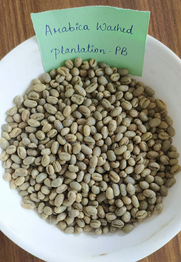 Arabica Washed Plantation PB