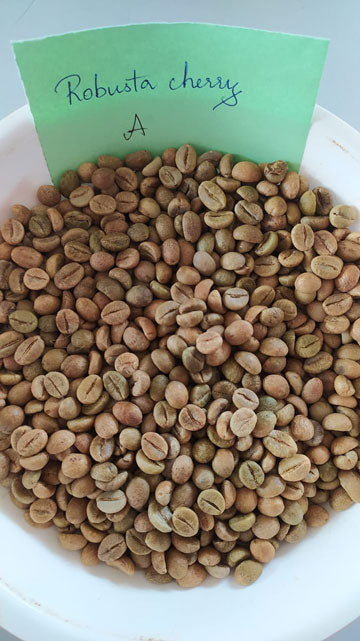 Robusta Cherry A