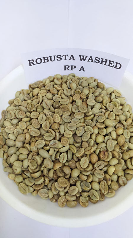 Robusta Washed RP A