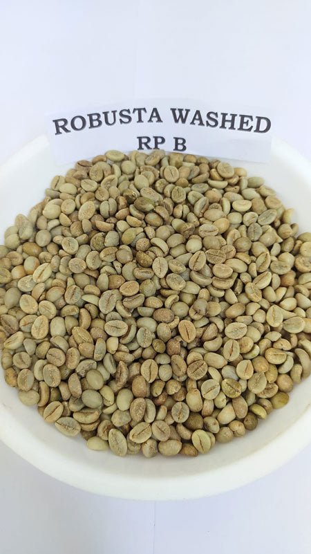 Robusta Washed RP B